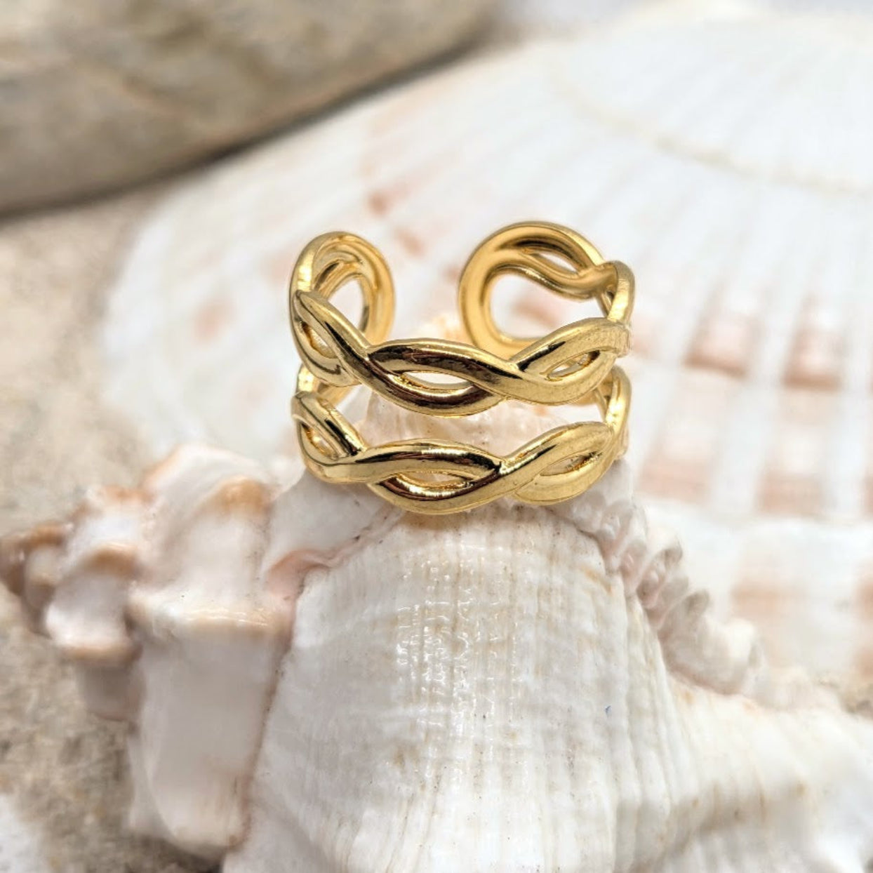 Gold braided ring on a seashell with a blurred natural background