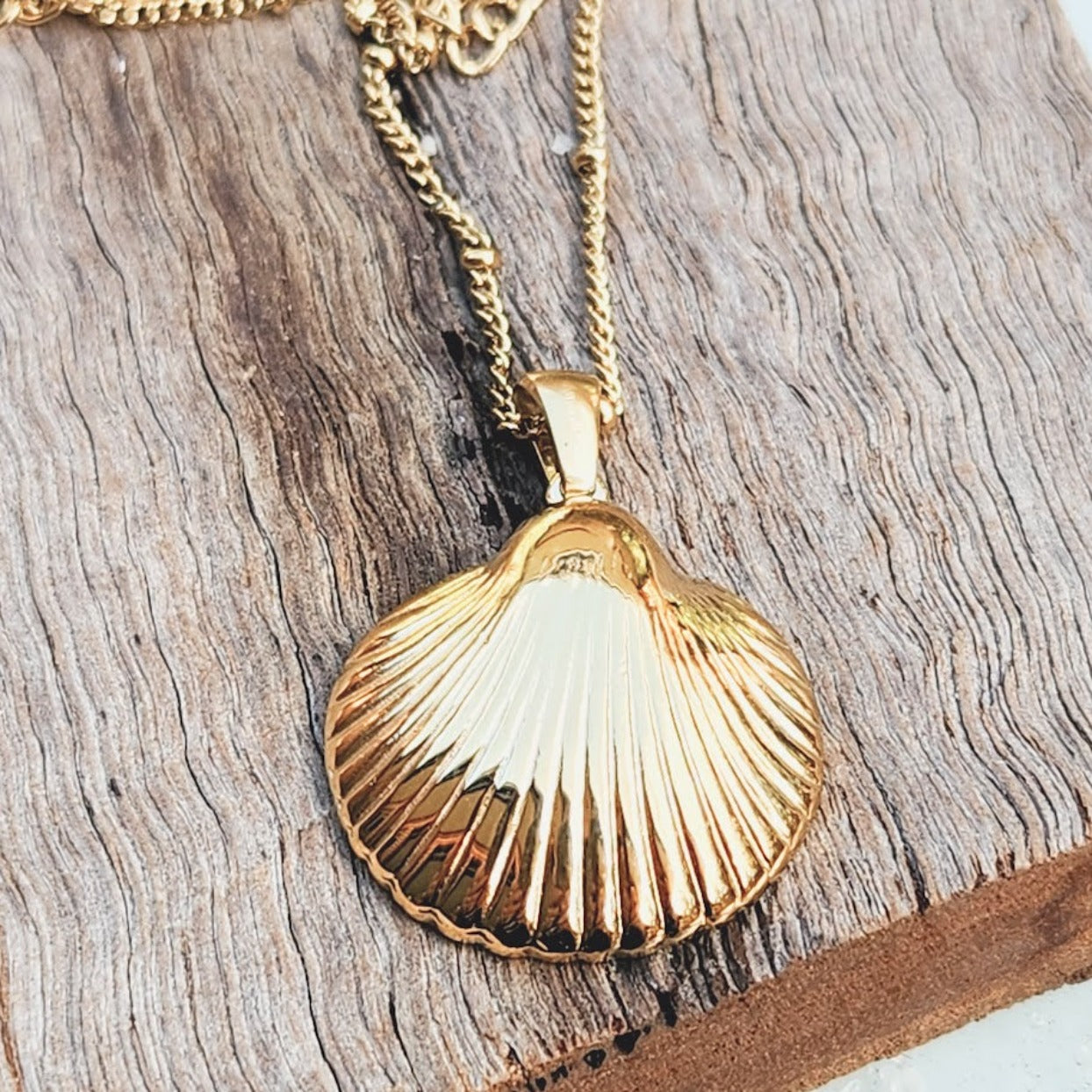 SEA SHELLS OF GOLD - WATERPROOF 18K GOLD SHELL NECKLACE | Best Price in ...
